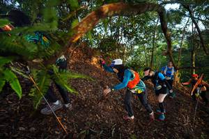 BIB: 
                            <button type="button" onclick="openModal(21869324)" class="btn btn-primary btn-sm float-right btn-popup" data-toggle="modal" data-target=".modal-high-quality">
                        <i class="fas fa-shopping-cart"></i> Add to Cart
                    </button>
                                            <button type="button" onclick="isThisMe(21869324, true)" class="btn btn-success btn-sm float-right btn-popup btn-isme hidden" data-toggle="tooltip" data-placement="bottom" title="นี่คือรูปของคุณใช่ไหม คลิกที่นี่เพื่อเอาเข้าอัลบั้ม">
                        <i class="fas fa-plus"></i> Add to album
                    </button>
                    <button type="button" onclick="isThisMe(21869324, false)" class="btn btn-warning btn-sm float-right btn-popup btn-isnotme hidden">
                        <i class="fas fa-ban"></i> Remove from album
                    </button>