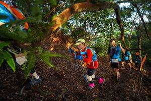 BIB: 
                            <button type="button" onclick="openModal(21870064)" class="btn btn-primary btn-sm float-right btn-popup" data-toggle="modal" data-target=".modal-high-quality">
                        <i class="fas fa-shopping-cart"></i> Add to Cart
                    </button>
                                            <button type="button" onclick="isThisMe(21870064, true)" class="btn btn-success btn-sm float-right btn-popup btn-isme hidden" data-toggle="tooltip" data-placement="bottom" title="นี่คือรูปของคุณใช่ไหม คลิกที่นี่เพื่อเอาเข้าอัลบั้ม">
                        <i class="fas fa-plus"></i> Add to album
                    </button>
                    <button type="button" onclick="isThisMe(21870064, false)" class="btn btn-warning btn-sm float-right btn-popup btn-isnotme hidden">
                        <i class="fas fa-ban"></i> Remove from album
                    </button>