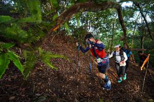 BIB: 
                            <button type="button" onclick="openModal(21878868)" class="btn btn-primary btn-sm float-right btn-popup" data-toggle="modal" data-target=".modal-high-quality">
                        <i class="fas fa-shopping-cart"></i> Add to Cart
                    </button>
                                            <button type="button" onclick="isThisMe(21878868, true)" class="btn btn-success btn-sm float-right btn-popup btn-isme hidden" data-toggle="tooltip" data-placement="bottom" title="นี่คือรูปของคุณใช่ไหม คลิกที่นี่เพื่อเอาเข้าอัลบั้ม">
                        <i class="fas fa-plus"></i> Add to album
                    </button>
                    <button type="button" onclick="isThisMe(21878868, false)" class="btn btn-warning btn-sm float-right btn-popup btn-isnotme hidden">
                        <i class="fas fa-ban"></i> Remove from album
                    </button>