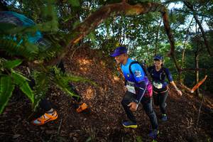 BIB: 2004
                            <button type="button" onclick="openModal(21874001)" class="btn btn-primary btn-sm float-right btn-popup" data-toggle="modal" data-target=".modal-high-quality">
                        <i class="fas fa-shopping-cart"></i> Add to Cart
                    </button>
                                            <button type="button" onclick="isThisMe(21874001, true)" class="btn btn-success btn-sm float-right btn-popup btn-isme hidden" data-toggle="tooltip" data-placement="bottom" title="นี่คือรูปของคุณใช่ไหม คลิกที่นี่เพื่อเอาเข้าอัลบั้ม">
                        <i class="fas fa-plus"></i> Add to album
                    </button>
                    <button type="button" onclick="isThisMe(21874001, false)" class="btn btn-warning btn-sm float-right btn-popup btn-isnotme hidden">
                        <i class="fas fa-ban"></i> Remove from album
                    </button>