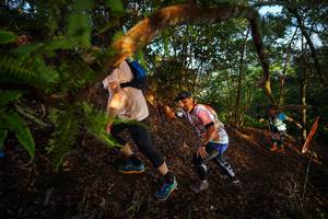 BIB: 
                            <button type="button" onclick="openModal(21870341)" class="btn btn-primary btn-sm float-right btn-popup" data-toggle="modal" data-target=".modal-high-quality">
                        <i class="fas fa-shopping-cart"></i> Add to Cart
                    </button>
                                            <button type="button" onclick="isThisMe(21870341, true)" class="btn btn-success btn-sm float-right btn-popup btn-isme hidden" data-toggle="tooltip" data-placement="bottom" title="นี่คือรูปของคุณใช่ไหม คลิกที่นี่เพื่อเอาเข้าอัลบั้ม">
                        <i class="fas fa-plus"></i> Add to album
                    </button>
                    <button type="button" onclick="isThisMe(21870341, false)" class="btn btn-warning btn-sm float-right btn-popup btn-isnotme hidden">
                        <i class="fas fa-ban"></i> Remove from album
                    </button>