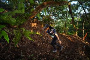 BIB: 
                            <button type="button" onclick="openModal(21871372)" class="btn btn-primary btn-sm float-right btn-popup" data-toggle="modal" data-target=".modal-high-quality">
                        <i class="fas fa-shopping-cart"></i> Add to Cart
                    </button>
                                            <button type="button" onclick="isThisMe(21871372, true)" class="btn btn-success btn-sm float-right btn-popup btn-isme hidden" data-toggle="tooltip" data-placement="bottom" title="นี่คือรูปของคุณใช่ไหม คลิกที่นี่เพื่อเอาเข้าอัลบั้ม">
                        <i class="fas fa-plus"></i> Add to album
                    </button>
                    <button type="button" onclick="isThisMe(21871372, false)" class="btn btn-warning btn-sm float-right btn-popup btn-isnotme hidden">
                        <i class="fas fa-ban"></i> Remove from album
                    </button>