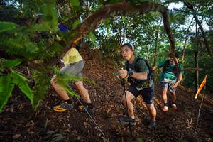 BIB: 
                            <button type="button" onclick="openModal(21877948)" class="btn btn-primary btn-sm float-right btn-popup" data-toggle="modal" data-target=".modal-high-quality">
                        <i class="fas fa-shopping-cart"></i> Add to Cart
                    </button>
                                            <button type="button" onclick="isThisMe(21877948, true)" class="btn btn-success btn-sm float-right btn-popup btn-isme hidden" data-toggle="tooltip" data-placement="bottom" title="นี่คือรูปของคุณใช่ไหม คลิกที่นี่เพื่อเอาเข้าอัลบั้ม">
                        <i class="fas fa-plus"></i> Add to album
                    </button>
                    <button type="button" onclick="isThisMe(21877948, false)" class="btn btn-warning btn-sm float-right btn-popup btn-isnotme hidden">
                        <i class="fas fa-ban"></i> Remove from album
                    </button>