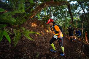 BIB: 2434
                            <button type="button" onclick="openModal(21871787)" class="btn btn-primary btn-sm float-right btn-popup" data-toggle="modal" data-target=".modal-high-quality">
                        <i class="fas fa-shopping-cart"></i> Add to Cart
                    </button>
                                            <button type="button" onclick="isThisMe(21871787, true)" class="btn btn-success btn-sm float-right btn-popup btn-isme hidden" data-toggle="tooltip" data-placement="bottom" title="นี่คือรูปของคุณใช่ไหม คลิกที่นี่เพื่อเอาเข้าอัลบั้ม">
                        <i class="fas fa-plus"></i> Add to album
                    </button>
                    <button type="button" onclick="isThisMe(21871787, false)" class="btn btn-warning btn-sm float-right btn-popup btn-isnotme hidden">
                        <i class="fas fa-ban"></i> Remove from album
                    </button>