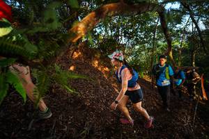 BIB: 
                            <button type="button" onclick="openModal(21870286)" class="btn btn-primary btn-sm float-right btn-popup" data-toggle="modal" data-target=".modal-high-quality">
                        <i class="fas fa-shopping-cart"></i> Add to Cart
                    </button>
                                            <button type="button" onclick="isThisMe(21870286, true)" class="btn btn-success btn-sm float-right btn-popup btn-isme hidden" data-toggle="tooltip" data-placement="bottom" title="นี่คือรูปของคุณใช่ไหม คลิกที่นี่เพื่อเอาเข้าอัลบั้ม">
                        <i class="fas fa-plus"></i> Add to album
                    </button>
                    <button type="button" onclick="isThisMe(21870286, false)" class="btn btn-warning btn-sm float-right btn-popup btn-isnotme hidden">
                        <i class="fas fa-ban"></i> Remove from album
                    </button>