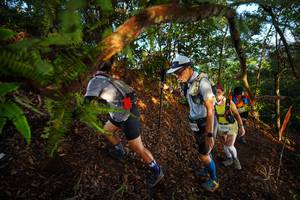 BIB: 
                            <button type="button" onclick="openModal(21870509)" class="btn btn-primary btn-sm float-right btn-popup" data-toggle="modal" data-target=".modal-high-quality">
                        <i class="fas fa-shopping-cart"></i> Add to Cart
                    </button>
                                            <button type="button" onclick="isThisMe(21870509, true)" class="btn btn-success btn-sm float-right btn-popup btn-isme hidden" data-toggle="tooltip" data-placement="bottom" title="นี่คือรูปของคุณใช่ไหม คลิกที่นี่เพื่อเอาเข้าอัลบั้ม">
                        <i class="fas fa-plus"></i> Add to album
                    </button>
                    <button type="button" onclick="isThisMe(21870509, false)" class="btn btn-warning btn-sm float-right btn-popup btn-isnotme hidden">
                        <i class="fas fa-ban"></i> Remove from album
                    </button>