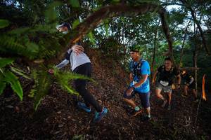 BIB: 
                            <button type="button" onclick="openModal(21866526)" class="btn btn-primary btn-sm float-right btn-popup" data-toggle="modal" data-target=".modal-high-quality">
                        <i class="fas fa-shopping-cart"></i> Add to Cart
                    </button>
                                            <button type="button" onclick="isThisMe(21866526, true)" class="btn btn-success btn-sm float-right btn-popup btn-isme hidden" data-toggle="tooltip" data-placement="bottom" title="นี่คือรูปของคุณใช่ไหม คลิกที่นี่เพื่อเอาเข้าอัลบั้ม">
                        <i class="fas fa-plus"></i> Add to album
                    </button>
                    <button type="button" onclick="isThisMe(21866526, false)" class="btn btn-warning btn-sm float-right btn-popup btn-isnotme hidden">
                        <i class="fas fa-ban"></i> Remove from album
                    </button>