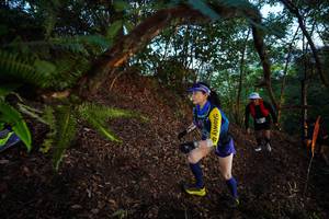 BIB: 
                            <button type="button" onclick="openModal(21866397)" class="btn btn-primary btn-sm float-right btn-popup" data-toggle="modal" data-target=".modal-high-quality">
                        <i class="fas fa-shopping-cart"></i> Add to Cart
                    </button>
                                            <button type="button" onclick="isThisMe(21866397, true)" class="btn btn-success btn-sm float-right btn-popup btn-isme hidden" data-toggle="tooltip" data-placement="bottom" title="นี่คือรูปของคุณใช่ไหม คลิกที่นี่เพื่อเอาเข้าอัลบั้ม">
                        <i class="fas fa-plus"></i> Add to album
                    </button>
                    <button type="button" onclick="isThisMe(21866397, false)" class="btn btn-warning btn-sm float-right btn-popup btn-isnotme hidden">
                        <i class="fas fa-ban"></i> Remove from album
                    </button>