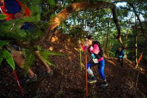 BIB: 
                            <button type="button" onclick="openModal(21870661)" class="btn btn-primary btn-sm float-right btn-popup" data-toggle="modal" data-target=".modal-high-quality">
                        <i class="fas fa-shopping-cart"></i> Add to Cart
                    </button>
                                            <button type="button" onclick="isThisMe(21870661, true)" class="btn btn-success btn-sm float-right btn-popup btn-isme hidden" data-toggle="tooltip" data-placement="bottom" title="นี่คือรูปของคุณใช่ไหม คลิกที่นี่เพื่อเอาเข้าอัลบั้ม">
                        <i class="fas fa-plus"></i> Add to album
                    </button>
                    <button type="button" onclick="isThisMe(21870661, false)" class="btn btn-warning btn-sm float-right btn-popup btn-isnotme hidden">
                        <i class="fas fa-ban"></i> Remove from album
                    </button>