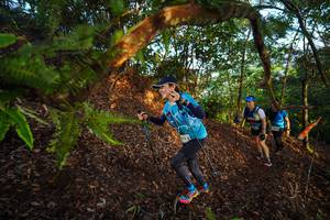 BIB: 
                            <button type="button" onclick="openModal(21869670)" class="btn btn-primary btn-sm float-right btn-popup" data-toggle="modal" data-target=".modal-high-quality">
                        <i class="fas fa-shopping-cart"></i> Add to Cart
                    </button>
                                            <button type="button" onclick="isThisMe(21869670, true)" class="btn btn-success btn-sm float-right btn-popup btn-isme hidden" data-toggle="tooltip" data-placement="bottom" title="นี่คือรูปของคุณใช่ไหม คลิกที่นี่เพื่อเอาเข้าอัลบั้ม">
                        <i class="fas fa-plus"></i> Add to album
                    </button>
                    <button type="button" onclick="isThisMe(21869670, false)" class="btn btn-warning btn-sm float-right btn-popup btn-isnotme hidden">
                        <i class="fas fa-ban"></i> Remove from album
                    </button>