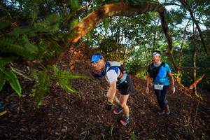 BIB: 
                            <button type="button" onclick="openModal(21869738)" class="btn btn-primary btn-sm float-right btn-popup" data-toggle="modal" data-target=".modal-high-quality">
                        <i class="fas fa-shopping-cart"></i> Add to Cart
                    </button>
                                            <button type="button" onclick="isThisMe(21869738, true)" class="btn btn-success btn-sm float-right btn-popup btn-isme hidden" data-toggle="tooltip" data-placement="bottom" title="นี่คือรูปของคุณใช่ไหม คลิกที่นี่เพื่อเอาเข้าอัลบั้ม">
                        <i class="fas fa-plus"></i> Add to album
                    </button>
                    <button type="button" onclick="isThisMe(21869738, false)" class="btn btn-warning btn-sm float-right btn-popup btn-isnotme hidden">
                        <i class="fas fa-ban"></i> Remove from album
                    </button>