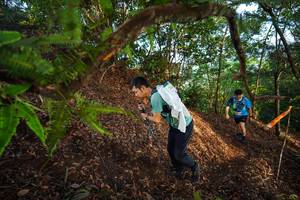 BIB: 
                            <button type="button" onclick="openModal(21879857)" class="btn btn-primary btn-sm float-right btn-popup" data-toggle="modal" data-target=".modal-high-quality">
                        <i class="fas fa-shopping-cart"></i> Add to Cart
                    </button>
                                            <button type="button" onclick="isThisMe(21879857, true)" class="btn btn-success btn-sm float-right btn-popup btn-isme hidden" data-toggle="tooltip" data-placement="bottom" title="นี่คือรูปของคุณใช่ไหม คลิกที่นี่เพื่อเอาเข้าอัลบั้ม">
                        <i class="fas fa-plus"></i> Add to album
                    </button>
                    <button type="button" onclick="isThisMe(21879857, false)" class="btn btn-warning btn-sm float-right btn-popup btn-isnotme hidden">
                        <i class="fas fa-ban"></i> Remove from album
                    </button>