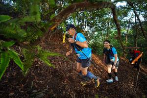 BIB: 
                            <button type="button" onclick="openModal(21873986)" class="btn btn-primary btn-sm float-right btn-popup" data-toggle="modal" data-target=".modal-high-quality">
                        <i class="fas fa-shopping-cart"></i> Add to Cart
                    </button>
                                            <button type="button" onclick="isThisMe(21873986, true)" class="btn btn-success btn-sm float-right btn-popup btn-isme hidden" data-toggle="tooltip" data-placement="bottom" title="นี่คือรูปของคุณใช่ไหม คลิกที่นี่เพื่อเอาเข้าอัลบั้ม">
                        <i class="fas fa-plus"></i> Add to album
                    </button>
                    <button type="button" onclick="isThisMe(21873986, false)" class="btn btn-warning btn-sm float-right btn-popup btn-isnotme hidden">
                        <i class="fas fa-ban"></i> Remove from album
                    </button>