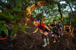 BIB: 
                            <button type="button" onclick="openModal(21870132)" class="btn btn-primary btn-sm float-right btn-popup" data-toggle="modal" data-target=".modal-high-quality">
                        <i class="fas fa-shopping-cart"></i> Add to Cart
                    </button>
                                            <button type="button" onclick="isThisMe(21870132, true)" class="btn btn-success btn-sm float-right btn-popup btn-isme hidden" data-toggle="tooltip" data-placement="bottom" title="นี่คือรูปของคุณใช่ไหม คลิกที่นี่เพื่อเอาเข้าอัลบั้ม">
                        <i class="fas fa-plus"></i> Add to album
                    </button>
                    <button type="button" onclick="isThisMe(21870132, false)" class="btn btn-warning btn-sm float-right btn-popup btn-isnotme hidden">
                        <i class="fas fa-ban"></i> Remove from album
                    </button>