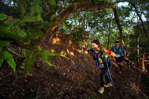 BIB: 
                            <button type="button" onclick="openModal(21871218)" class="btn btn-primary btn-sm float-right btn-popup" data-toggle="modal" data-target=".modal-high-quality">
                        <i class="fas fa-shopping-cart"></i> Add to Cart
                    </button>
                                            <button type="button" onclick="isThisMe(21871218, true)" class="btn btn-success btn-sm float-right btn-popup btn-isme hidden" data-toggle="tooltip" data-placement="bottom" title="นี่คือรูปของคุณใช่ไหม คลิกที่นี่เพื่อเอาเข้าอัลบั้ม">
                        <i class="fas fa-plus"></i> Add to album
                    </button>
                    <button type="button" onclick="isThisMe(21871218, false)" class="btn btn-warning btn-sm float-right btn-popup btn-isnotme hidden">
                        <i class="fas fa-ban"></i> Remove from album
                    </button>