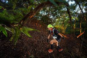 BIB: 2439
                            <button type="button" onclick="openModal(21865628)" class="btn btn-primary btn-sm float-right btn-popup" data-toggle="modal" data-target=".modal-high-quality">
                        <i class="fas fa-shopping-cart"></i> Add to Cart
                    </button>
                                            <button type="button" onclick="isThisMe(21865628, true)" class="btn btn-success btn-sm float-right btn-popup btn-isme hidden" data-toggle="tooltip" data-placement="bottom" title="นี่คือรูปของคุณใช่ไหม คลิกที่นี่เพื่อเอาเข้าอัลบั้ม">
                        <i class="fas fa-plus"></i> Add to album
                    </button>
                    <button type="button" onclick="isThisMe(21865628, false)" class="btn btn-warning btn-sm float-right btn-popup btn-isnotme hidden">
                        <i class="fas fa-ban"></i> Remove from album
                    </button>