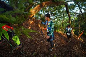 BIB: 
                            <button type="button" onclick="openModal(21870233)" class="btn btn-primary btn-sm float-right btn-popup" data-toggle="modal" data-target=".modal-high-quality">
                        <i class="fas fa-shopping-cart"></i> Add to Cart
                    </button>
                                            <button type="button" onclick="isThisMe(21870233, true)" class="btn btn-success btn-sm float-right btn-popup btn-isme hidden" data-toggle="tooltip" data-placement="bottom" title="นี่คือรูปของคุณใช่ไหม คลิกที่นี่เพื่อเอาเข้าอัลบั้ม">
                        <i class="fas fa-plus"></i> Add to album
                    </button>
                    <button type="button" onclick="isThisMe(21870233, false)" class="btn btn-warning btn-sm float-right btn-popup btn-isnotme hidden">
                        <i class="fas fa-ban"></i> Remove from album
                    </button>