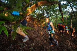 BIB: 
                            <button type="button" onclick="openModal(21870104)" class="btn btn-primary btn-sm float-right btn-popup" data-toggle="modal" data-target=".modal-high-quality">
                        <i class="fas fa-shopping-cart"></i> Add to Cart
                    </button>
                                            <button type="button" onclick="isThisMe(21870104, true)" class="btn btn-success btn-sm float-right btn-popup btn-isme hidden" data-toggle="tooltip" data-placement="bottom" title="นี่คือรูปของคุณใช่ไหม คลิกที่นี่เพื่อเอาเข้าอัลบั้ม">
                        <i class="fas fa-plus"></i> Add to album
                    </button>
                    <button type="button" onclick="isThisMe(21870104, false)" class="btn btn-warning btn-sm float-right btn-popup btn-isnotme hidden">
                        <i class="fas fa-ban"></i> Remove from album
                    </button>