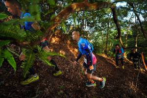 BIB: 
                            <button type="button" onclick="openModal(21871065)" class="btn btn-primary btn-sm float-right btn-popup" data-toggle="modal" data-target=".modal-high-quality">
                        <i class="fas fa-shopping-cart"></i> Add to Cart
                    </button>
                                            <button type="button" onclick="isThisMe(21871065, true)" class="btn btn-success btn-sm float-right btn-popup btn-isme hidden" data-toggle="tooltip" data-placement="bottom" title="นี่คือรูปของคุณใช่ไหม คลิกที่นี่เพื่อเอาเข้าอัลบั้ม">
                        <i class="fas fa-plus"></i> Add to album
                    </button>
                    <button type="button" onclick="isThisMe(21871065, false)" class="btn btn-warning btn-sm float-right btn-popup btn-isnotme hidden">
                        <i class="fas fa-ban"></i> Remove from album
                    </button>