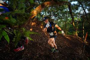 BIB: 
                            <button type="button" onclick="openModal(21870443)" class="btn btn-primary btn-sm float-right btn-popup" data-toggle="modal" data-target=".modal-high-quality">
                        <i class="fas fa-shopping-cart"></i> Add to Cart
                    </button>
                                            <button type="button" onclick="isThisMe(21870443, true)" class="btn btn-success btn-sm float-right btn-popup btn-isme hidden" data-toggle="tooltip" data-placement="bottom" title="นี่คือรูปของคุณใช่ไหม คลิกที่นี่เพื่อเอาเข้าอัลบั้ม">
                        <i class="fas fa-plus"></i> Add to album
                    </button>
                    <button type="button" onclick="isThisMe(21870443, false)" class="btn btn-warning btn-sm float-right btn-popup btn-isnotme hidden">
                        <i class="fas fa-ban"></i> Remove from album
                    </button>