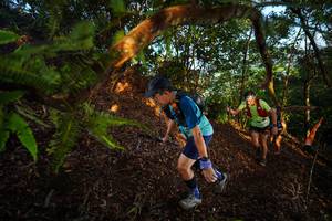 BIB: 
                            <button type="button" onclick="openModal(21870264)" class="btn btn-primary btn-sm float-right btn-popup" data-toggle="modal" data-target=".modal-high-quality">
                        <i class="fas fa-shopping-cart"></i> Add to Cart
                    </button>
                                            <button type="button" onclick="isThisMe(21870264, true)" class="btn btn-success btn-sm float-right btn-popup btn-isme hidden" data-toggle="tooltip" data-placement="bottom" title="นี่คือรูปของคุณใช่ไหม คลิกที่นี่เพื่อเอาเข้าอัลบั้ม">
                        <i class="fas fa-plus"></i> Add to album
                    </button>
                    <button type="button" onclick="isThisMe(21870264, false)" class="btn btn-warning btn-sm float-right btn-popup btn-isnotme hidden">
                        <i class="fas fa-ban"></i> Remove from album
                    </button>