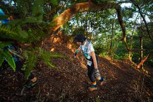 BIB: 
                            <button type="button" onclick="openModal(21870252)" class="btn btn-primary btn-sm float-right btn-popup" data-toggle="modal" data-target=".modal-high-quality">
                        <i class="fas fa-shopping-cart"></i> Add to Cart
                    </button>
                                            <button type="button" onclick="isThisMe(21870252, true)" class="btn btn-success btn-sm float-right btn-popup btn-isme hidden" data-toggle="tooltip" data-placement="bottom" title="นี่คือรูปของคุณใช่ไหม คลิกที่นี่เพื่อเอาเข้าอัลบั้ม">
                        <i class="fas fa-plus"></i> Add to album
                    </button>
                    <button type="button" onclick="isThisMe(21870252, false)" class="btn btn-warning btn-sm float-right btn-popup btn-isnotme hidden">
                        <i class="fas fa-ban"></i> Remove from album
                    </button>