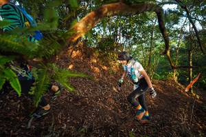 BIB: 
                            <button type="button" onclick="openModal(21870236)" class="btn btn-primary btn-sm float-right btn-popup" data-toggle="modal" data-target=".modal-high-quality">
                        <i class="fas fa-shopping-cart"></i> Add to Cart
                    </button>
                                            <button type="button" onclick="isThisMe(21870236, true)" class="btn btn-success btn-sm float-right btn-popup btn-isme hidden" data-toggle="tooltip" data-placement="bottom" title="นี่คือรูปของคุณใช่ไหม คลิกที่นี่เพื่อเอาเข้าอัลบั้ม">
                        <i class="fas fa-plus"></i> Add to album
                    </button>
                    <button type="button" onclick="isThisMe(21870236, false)" class="btn btn-warning btn-sm float-right btn-popup btn-isnotme hidden">
                        <i class="fas fa-ban"></i> Remove from album
                    </button>