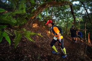 BIB: 2004
                            <button type="button" onclick="openModal(21871800)" class="btn btn-primary btn-sm float-right btn-popup" data-toggle="modal" data-target=".modal-high-quality">
                        <i class="fas fa-shopping-cart"></i> Add to Cart
                    </button>
                                            <button type="button" onclick="isThisMe(21871800, true)" class="btn btn-success btn-sm float-right btn-popup btn-isme hidden" data-toggle="tooltip" data-placement="bottom" title="นี่คือรูปของคุณใช่ไหม คลิกที่นี่เพื่อเอาเข้าอัลบั้ม">
                        <i class="fas fa-plus"></i> Add to album
                    </button>
                    <button type="button" onclick="isThisMe(21871800, false)" class="btn btn-warning btn-sm float-right btn-popup btn-isnotme hidden">
                        <i class="fas fa-ban"></i> Remove from album
                    </button>