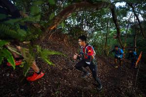 BIB: 
                            <button type="button" onclick="openModal(21866907)" class="btn btn-primary btn-sm float-right btn-popup" data-toggle="modal" data-target=".modal-high-quality">
                        <i class="fas fa-shopping-cart"></i> Add to Cart
                    </button>
                                            <button type="button" onclick="isThisMe(21866907, true)" class="btn btn-success btn-sm float-right btn-popup btn-isme hidden" data-toggle="tooltip" data-placement="bottom" title="นี่คือรูปของคุณใช่ไหม คลิกที่นี่เพื่อเอาเข้าอัลบั้ม">
                        <i class="fas fa-plus"></i> Add to album
                    </button>
                    <button type="button" onclick="isThisMe(21866907, false)" class="btn btn-warning btn-sm float-right btn-popup btn-isnotme hidden">
                        <i class="fas fa-ban"></i> Remove from album
                    </button>