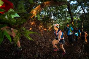 BIB: 
                            <button type="button" onclick="openModal(21870278)" class="btn btn-primary btn-sm float-right btn-popup" data-toggle="modal" data-target=".modal-high-quality">
                        <i class="fas fa-shopping-cart"></i> Add to Cart
                    </button>
                                            <button type="button" onclick="isThisMe(21870278, true)" class="btn btn-success btn-sm float-right btn-popup btn-isme hidden" data-toggle="tooltip" data-placement="bottom" title="นี่คือรูปของคุณใช่ไหม คลิกที่นี่เพื่อเอาเข้าอัลบั้ม">
                        <i class="fas fa-plus"></i> Add to album
                    </button>
                    <button type="button" onclick="isThisMe(21870278, false)" class="btn btn-warning btn-sm float-right btn-popup btn-isnotme hidden">
                        <i class="fas fa-ban"></i> Remove from album
                    </button>