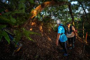 BIB: 
                            <button type="button" onclick="openModal(21870312)" class="btn btn-primary btn-sm float-right btn-popup" data-toggle="modal" data-target=".modal-high-quality">
                        <i class="fas fa-shopping-cart"></i> Add to Cart
                    </button>
                                            <button type="button" onclick="isThisMe(21870312, true)" class="btn btn-success btn-sm float-right btn-popup btn-isme hidden" data-toggle="tooltip" data-placement="bottom" title="นี่คือรูปของคุณใช่ไหม คลิกที่นี่เพื่อเอาเข้าอัลบั้ม">
                        <i class="fas fa-plus"></i> Add to album
                    </button>
                    <button type="button" onclick="isThisMe(21870312, false)" class="btn btn-warning btn-sm float-right btn-popup btn-isnotme hidden">
                        <i class="fas fa-ban"></i> Remove from album
                    </button>