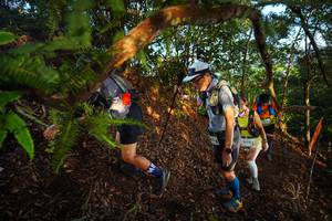 BIB: 2074
                            <button type="button" onclick="openModal(21870508)" class="btn btn-primary btn-sm float-right btn-popup" data-toggle="modal" data-target=".modal-high-quality">
                        <i class="fas fa-shopping-cart"></i> Add to Cart
                    </button>
                                            <button type="button" onclick="isThisMe(21870508, true)" class="btn btn-success btn-sm float-right btn-popup btn-isme hidden" data-toggle="tooltip" data-placement="bottom" title="นี่คือรูปของคุณใช่ไหม คลิกที่นี่เพื่อเอาเข้าอัลบั้ม">
                        <i class="fas fa-plus"></i> Add to album
                    </button>
                    <button type="button" onclick="isThisMe(21870508, false)" class="btn btn-warning btn-sm float-right btn-popup btn-isnotme hidden">
                        <i class="fas fa-ban"></i> Remove from album
                    </button>