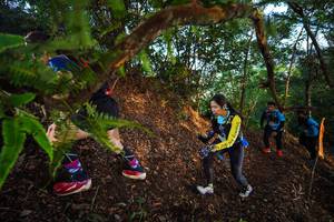 BIB: 
                            <button type="button" onclick="openModal(21877533)" class="btn btn-primary btn-sm float-right btn-popup" data-toggle="modal" data-target=".modal-high-quality">
                        <i class="fas fa-shopping-cart"></i> Add to Cart
                    </button>
                                            <button type="button" onclick="isThisMe(21877533, true)" class="btn btn-success btn-sm float-right btn-popup btn-isme hidden" data-toggle="tooltip" data-placement="bottom" title="นี่คือรูปของคุณใช่ไหม คลิกที่นี่เพื่อเอาเข้าอัลบั้ม">
                        <i class="fas fa-plus"></i> Add to album
                    </button>
                    <button type="button" onclick="isThisMe(21877533, false)" class="btn btn-warning btn-sm float-right btn-popup btn-isnotme hidden">
                        <i class="fas fa-ban"></i> Remove from album
                    </button>