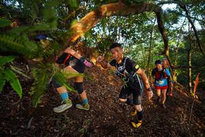 BIB: 
                            <button type="button" onclick="openModal(21870135)" class="btn btn-primary btn-sm float-right btn-popup" data-toggle="modal" data-target=".modal-high-quality">
                        <i class="fas fa-shopping-cart"></i> Add to Cart
                    </button>
                                            <button type="button" onclick="isThisMe(21870135, true)" class="btn btn-success btn-sm float-right btn-popup btn-isme hidden" data-toggle="tooltip" data-placement="bottom" title="นี่คือรูปของคุณใช่ไหม คลิกที่นี่เพื่อเอาเข้าอัลบั้ม">
                        <i class="fas fa-plus"></i> Add to album
                    </button>
                    <button type="button" onclick="isThisMe(21870135, false)" class="btn btn-warning btn-sm float-right btn-popup btn-isnotme hidden">
                        <i class="fas fa-ban"></i> Remove from album
                    </button>