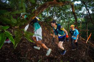 BIB: 
                            <button type="button" onclick="openModal(21877049)" class="btn btn-primary btn-sm float-right btn-popup" data-toggle="modal" data-target=".modal-high-quality">
                        <i class="fas fa-shopping-cart"></i> Add to Cart
                    </button>
                                            <button type="button" onclick="isThisMe(21877049, true)" class="btn btn-success btn-sm float-right btn-popup btn-isme hidden" data-toggle="tooltip" data-placement="bottom" title="นี่คือรูปของคุณใช่ไหม คลิกที่นี่เพื่อเอาเข้าอัลบั้ม">
                        <i class="fas fa-plus"></i> Add to album
                    </button>
                    <button type="button" onclick="isThisMe(21877049, false)" class="btn btn-warning btn-sm float-right btn-popup btn-isnotme hidden">
                        <i class="fas fa-ban"></i> Remove from album
                    </button>