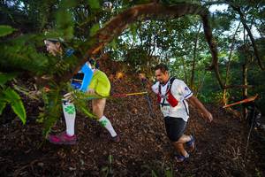 BIB: 2007
                            <button type="button" onclick="openModal(21868302)" class="btn btn-primary btn-sm float-right btn-popup" data-toggle="modal" data-target=".modal-high-quality">
                        <i class="fas fa-shopping-cart"></i> Add to Cart
                    </button>
                                            <button type="button" onclick="isThisMe(21868302, true)" class="btn btn-success btn-sm float-right btn-popup btn-isme hidden" data-toggle="tooltip" data-placement="bottom" title="นี่คือรูปของคุณใช่ไหม คลิกที่นี่เพื่อเอาเข้าอัลบั้ม">
                        <i class="fas fa-plus"></i> Add to album
                    </button>
                    <button type="button" onclick="isThisMe(21868302, false)" class="btn btn-warning btn-sm float-right btn-popup btn-isnotme hidden">
                        <i class="fas fa-ban"></i> Remove from album
                    </button>