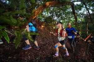 BIB: 476
                            <button type="button" onclick="openModal(21869144)" class="btn btn-primary btn-sm float-right btn-popup" data-toggle="modal" data-target=".modal-high-quality">
                        <i class="fas fa-shopping-cart"></i> Add to Cart
                    </button>
                                            <button type="button" onclick="isThisMe(21869144, true)" class="btn btn-success btn-sm float-right btn-popup btn-isme hidden" data-toggle="tooltip" data-placement="bottom" title="นี่คือรูปของคุณใช่ไหม คลิกที่นี่เพื่อเอาเข้าอัลบั้ม">
                        <i class="fas fa-plus"></i> Add to album
                    </button>
                    <button type="button" onclick="isThisMe(21869144, false)" class="btn btn-warning btn-sm float-right btn-popup btn-isnotme hidden">
                        <i class="fas fa-ban"></i> Remove from album
                    </button>