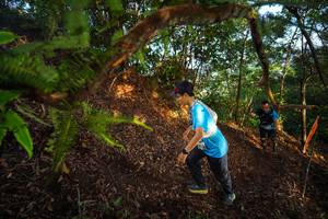 BIB: 
                            <button type="button" onclick="openModal(21871396)" class="btn btn-primary btn-sm float-right btn-popup" data-toggle="modal" data-target=".modal-high-quality">
                        <i class="fas fa-shopping-cart"></i> Add to Cart
                    </button>
                                            <button type="button" onclick="isThisMe(21871396, true)" class="btn btn-success btn-sm float-right btn-popup btn-isme hidden" data-toggle="tooltip" data-placement="bottom" title="นี่คือรูปของคุณใช่ไหม คลิกที่นี่เพื่อเอาเข้าอัลบั้ม">
                        <i class="fas fa-plus"></i> Add to album
                    </button>
                    <button type="button" onclick="isThisMe(21871396, false)" class="btn btn-warning btn-sm float-right btn-popup btn-isnotme hidden">
                        <i class="fas fa-ban"></i> Remove from album
                    </button>