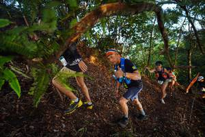 BIB: 
                            <button type="button" onclick="openModal(21868768)" class="btn btn-primary btn-sm float-right btn-popup" data-toggle="modal" data-target=".modal-high-quality">
                        <i class="fas fa-shopping-cart"></i> Add to Cart
                    </button>
                                            <button type="button" onclick="isThisMe(21868768, true)" class="btn btn-success btn-sm float-right btn-popup btn-isme hidden" data-toggle="tooltip" data-placement="bottom" title="นี่คือรูปของคุณใช่ไหม คลิกที่นี่เพื่อเอาเข้าอัลบั้ม">
                        <i class="fas fa-plus"></i> Add to album
                    </button>
                    <button type="button" onclick="isThisMe(21868768, false)" class="btn btn-warning btn-sm float-right btn-popup btn-isnotme hidden">
                        <i class="fas fa-ban"></i> Remove from album
                    </button>