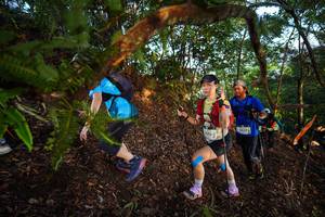 BIB: 476, 2337
                            <button type="button" onclick="openModal(21869135)" class="btn btn-primary btn-sm float-right btn-popup" data-toggle="modal" data-target=".modal-high-quality">
                        <i class="fas fa-shopping-cart"></i> Add to Cart
                    </button>
                                            <button type="button" onclick="isThisMe(21869135, true)" class="btn btn-success btn-sm float-right btn-popup btn-isme hidden" data-toggle="tooltip" data-placement="bottom" title="นี่คือรูปของคุณใช่ไหม คลิกที่นี่เพื่อเอาเข้าอัลบั้ม">
                        <i class="fas fa-plus"></i> Add to album
                    </button>
                    <button type="button" onclick="isThisMe(21869135, false)" class="btn btn-warning btn-sm float-right btn-popup btn-isnotme hidden">
                        <i class="fas fa-ban"></i> Remove from album
                    </button>