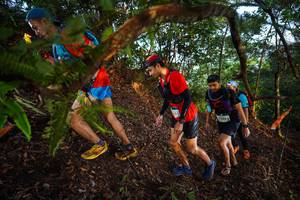 BIB: 2240
                            <button type="button" onclick="openModal(21868578)" class="btn btn-primary btn-sm float-right btn-popup" data-toggle="modal" data-target=".modal-high-quality">
                        <i class="fas fa-shopping-cart"></i> Add to Cart
                    </button>
                                            <button type="button" onclick="isThisMe(21868578, true)" class="btn btn-success btn-sm float-right btn-popup btn-isme hidden" data-toggle="tooltip" data-placement="bottom" title="นี่คือรูปของคุณใช่ไหม คลิกที่นี่เพื่อเอาเข้าอัลบั้ม">
                        <i class="fas fa-plus"></i> Add to album
                    </button>
                    <button type="button" onclick="isThisMe(21868578, false)" class="btn btn-warning btn-sm float-right btn-popup btn-isnotme hidden">
                        <i class="fas fa-ban"></i> Remove from album
                    </button>