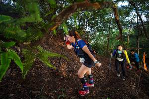 BIB: 149
                            <button type="button" onclick="openModal(21877478)" class="btn btn-primary btn-sm float-right btn-popup" data-toggle="modal" data-target=".modal-high-quality">
                        <i class="fas fa-shopping-cart"></i> Add to Cart
                    </button>
                                            <button type="button" onclick="isThisMe(21877478, true)" class="btn btn-success btn-sm float-right btn-popup btn-isme hidden" data-toggle="tooltip" data-placement="bottom" title="นี่คือรูปของคุณใช่ไหม คลิกที่นี่เพื่อเอาเข้าอัลบั้ม">
                        <i class="fas fa-plus"></i> Add to album
                    </button>
                    <button type="button" onclick="isThisMe(21877478, false)" class="btn btn-warning btn-sm float-right btn-popup btn-isnotme hidden">
                        <i class="fas fa-ban"></i> Remove from album
                    </button>