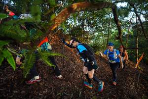 BIB: 
                            <button type="button" onclick="openModal(21869422)" class="btn btn-primary btn-sm float-right btn-popup" data-toggle="modal" data-target=".modal-high-quality">
                        <i class="fas fa-shopping-cart"></i> Add to Cart
                    </button>
                                            <button type="button" onclick="isThisMe(21869422, true)" class="btn btn-success btn-sm float-right btn-popup btn-isme hidden" data-toggle="tooltip" data-placement="bottom" title="นี่คือรูปของคุณใช่ไหม คลิกที่นี่เพื่อเอาเข้าอัลบั้ม">
                        <i class="fas fa-plus"></i> Add to album
                    </button>
                    <button type="button" onclick="isThisMe(21869422, false)" class="btn btn-warning btn-sm float-right btn-popup btn-isnotme hidden">
                        <i class="fas fa-ban"></i> Remove from album
                    </button>