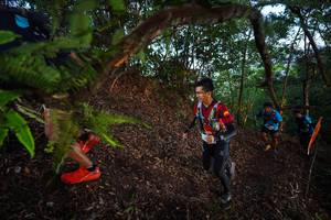 BIB: 
                            <button type="button" onclick="openModal(21866891)" class="btn btn-primary btn-sm float-right btn-popup" data-toggle="modal" data-target=".modal-high-quality">
                        <i class="fas fa-shopping-cart"></i> Add to Cart
                    </button>
                                            <button type="button" onclick="isThisMe(21866891, true)" class="btn btn-success btn-sm float-right btn-popup btn-isme hidden" data-toggle="tooltip" data-placement="bottom" title="นี่คือรูปของคุณใช่ไหม คลิกที่นี่เพื่อเอาเข้าอัลบั้ม">
                        <i class="fas fa-plus"></i> Add to album
                    </button>
                    <button type="button" onclick="isThisMe(21866891, false)" class="btn btn-warning btn-sm float-right btn-popup btn-isnotme hidden">
                        <i class="fas fa-ban"></i> Remove from album
                    </button>