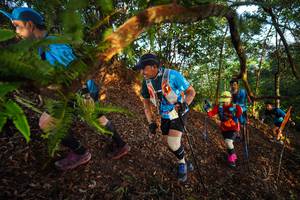 BIB: 
                            <button type="button" onclick="openModal(21870044)" class="btn btn-primary btn-sm float-right btn-popup" data-toggle="modal" data-target=".modal-high-quality">
                        <i class="fas fa-shopping-cart"></i> Add to Cart
                    </button>
                                            <button type="button" onclick="isThisMe(21870044, true)" class="btn btn-success btn-sm float-right btn-popup btn-isme hidden" data-toggle="tooltip" data-placement="bottom" title="นี่คือรูปของคุณใช่ไหม คลิกที่นี่เพื่อเอาเข้าอัลบั้ม">
                        <i class="fas fa-plus"></i> Add to album
                    </button>
                    <button type="button" onclick="isThisMe(21870044, false)" class="btn btn-warning btn-sm float-right btn-popup btn-isnotme hidden">
                        <i class="fas fa-ban"></i> Remove from album
                    </button>