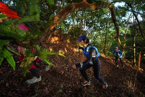 BIB: 
                            <button type="button" onclick="openModal(21871107)" class="btn btn-primary btn-sm float-right btn-popup" data-toggle="modal" data-target=".modal-high-quality">
                        <i class="fas fa-shopping-cart"></i> Add to Cart
                    </button>
                                            <button type="button" onclick="isThisMe(21871107, true)" class="btn btn-success btn-sm float-right btn-popup btn-isme hidden" data-toggle="tooltip" data-placement="bottom" title="นี่คือรูปของคุณใช่ไหม คลิกที่นี่เพื่อเอาเข้าอัลบั้ม">
                        <i class="fas fa-plus"></i> Add to album
                    </button>
                    <button type="button" onclick="isThisMe(21871107, false)" class="btn btn-warning btn-sm float-right btn-popup btn-isnotme hidden">
                        <i class="fas fa-ban"></i> Remove from album
                    </button>