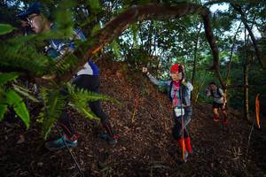 BIB: 428
                            <button type="button" onclick="openModal(21867271)" class="btn btn-primary btn-sm float-right btn-popup" data-toggle="modal" data-target=".modal-high-quality">
                        <i class="fas fa-shopping-cart"></i> Add to Cart
                    </button>
                                            <button type="button" onclick="isThisMe(21867271, true)" class="btn btn-success btn-sm float-right btn-popup btn-isme hidden" data-toggle="tooltip" data-placement="bottom" title="นี่คือรูปของคุณใช่ไหม คลิกที่นี่เพื่อเอาเข้าอัลบั้ม">
                        <i class="fas fa-plus"></i> Add to album
                    </button>
                    <button type="button" onclick="isThisMe(21867271, false)" class="btn btn-warning btn-sm float-right btn-popup btn-isnotme hidden">
                        <i class="fas fa-ban"></i> Remove from album
                    </button>