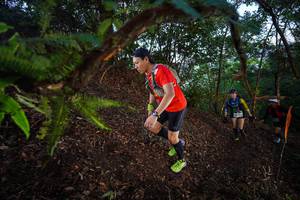 BIB: 
                            <button type="button" onclick="openModal(21866379)" class="btn btn-primary btn-sm float-right btn-popup" data-toggle="modal" data-target=".modal-high-quality">
                        <i class="fas fa-shopping-cart"></i> Add to Cart
                    </button>
                                            <button type="button" onclick="isThisMe(21866379, true)" class="btn btn-success btn-sm float-right btn-popup btn-isme hidden" data-toggle="tooltip" data-placement="bottom" title="นี่คือรูปของคุณใช่ไหม คลิกที่นี่เพื่อเอาเข้าอัลบั้ม">
                        <i class="fas fa-plus"></i> Add to album
                    </button>
                    <button type="button" onclick="isThisMe(21866379, false)" class="btn btn-warning btn-sm float-right btn-popup btn-isnotme hidden">
                        <i class="fas fa-ban"></i> Remove from album
                    </button>