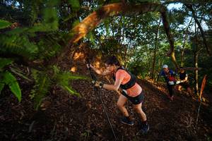 BIB: 
                            <button type="button" onclick="openModal(21870405)" class="btn btn-primary btn-sm float-right btn-popup" data-toggle="modal" data-target=".modal-high-quality">
                        <i class="fas fa-shopping-cart"></i> Add to Cart
                    </button>
                                            <button type="button" onclick="isThisMe(21870405, true)" class="btn btn-success btn-sm float-right btn-popup btn-isme hidden" data-toggle="tooltip" data-placement="bottom" title="นี่คือรูปของคุณใช่ไหม คลิกที่นี่เพื่อเอาเข้าอัลบั้ม">
                        <i class="fas fa-plus"></i> Add to album
                    </button>
                    <button type="button" onclick="isThisMe(21870405, false)" class="btn btn-warning btn-sm float-right btn-popup btn-isnotme hidden">
                        <i class="fas fa-ban"></i> Remove from album
                    </button>