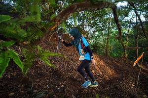 BIB: 
                            <button type="button" onclick="openModal(21878387)" class="btn btn-primary btn-sm float-right btn-popup" data-toggle="modal" data-target=".modal-high-quality">
                        <i class="fas fa-shopping-cart"></i> Add to Cart
                    </button>
                                            <button type="button" onclick="isThisMe(21878387, true)" class="btn btn-success btn-sm float-right btn-popup btn-isme hidden" data-toggle="tooltip" data-placement="bottom" title="นี่คือรูปของคุณใช่ไหม คลิกที่นี่เพื่อเอาเข้าอัลบั้ม">
                        <i class="fas fa-plus"></i> Add to album
                    </button>
                    <button type="button" onclick="isThisMe(21878387, false)" class="btn btn-warning btn-sm float-right btn-popup btn-isnotme hidden">
                        <i class="fas fa-ban"></i> Remove from album
                    </button>